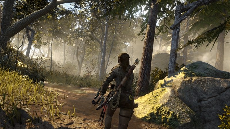 Rise of the Tomb Raider Forest | Screenshot