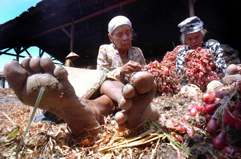 Pemerintah Ajak Petani & Nelayan Ikut Revolusi E-commerce