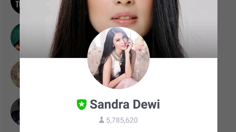 Sandra Dewi LINE