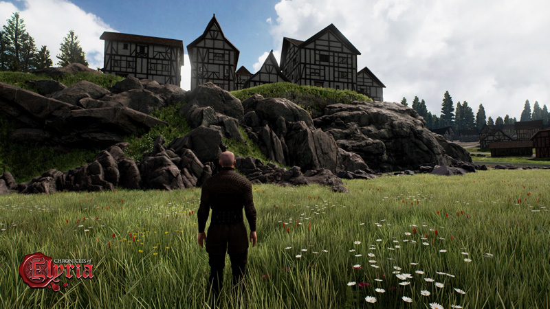 Chronicles Of Elyria Mmorpg Dengan Sistem Usia Realistis