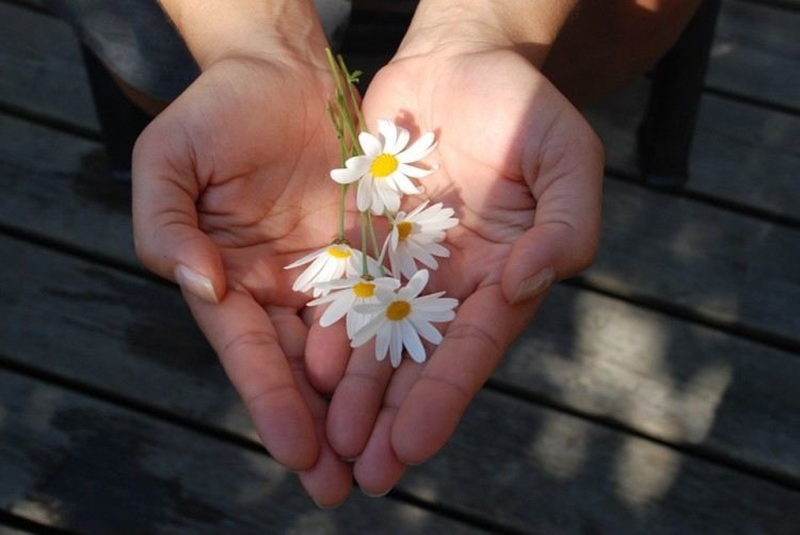 give-flower-hands-pay-it-forward-750x502