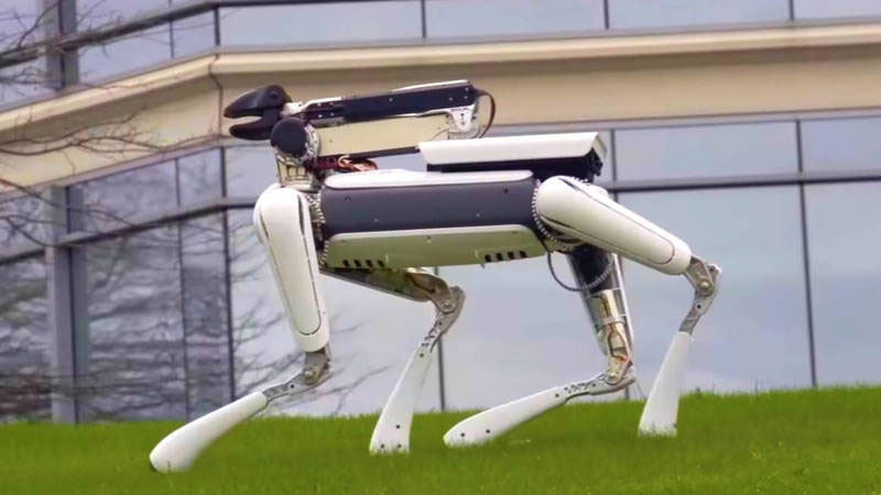 Google Hadirkan Robot Anjing yang Bisa Pindahkan Barang