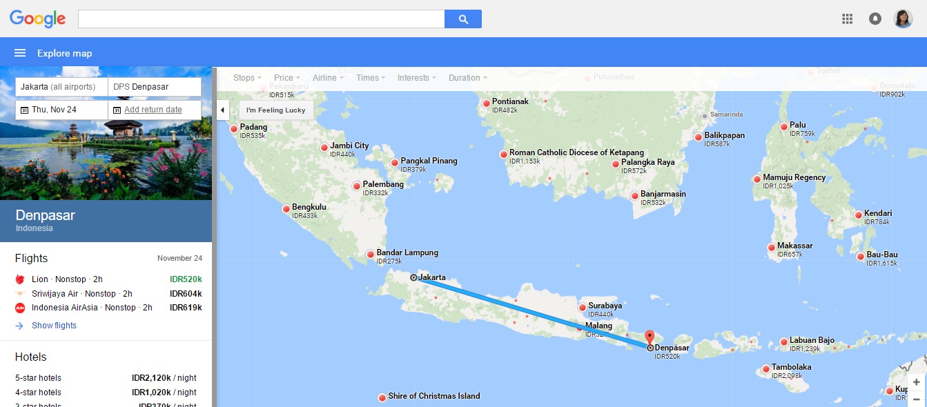 google flight maps