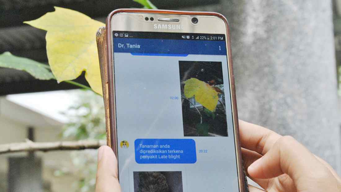 Tampilan aplikasi Dr. Tania | Photo