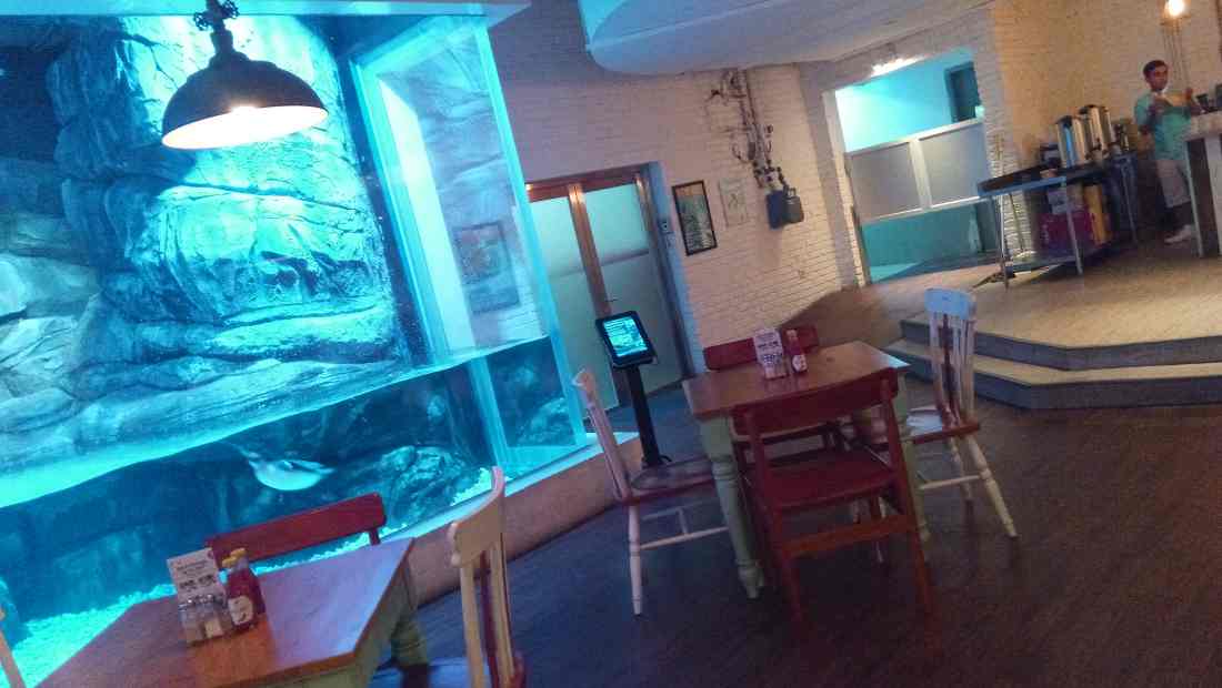 Ruangan di restoran Pingoo Jakarta Aquarium yang bisa dipesan melalui XWORK | Photo
