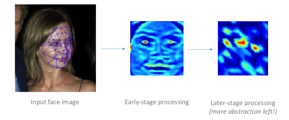 Apa Itu Deep Learning dan Perbedaannya dari Machine Learning