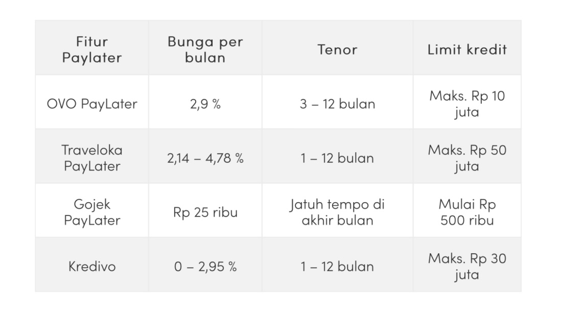 Bunga Paylater