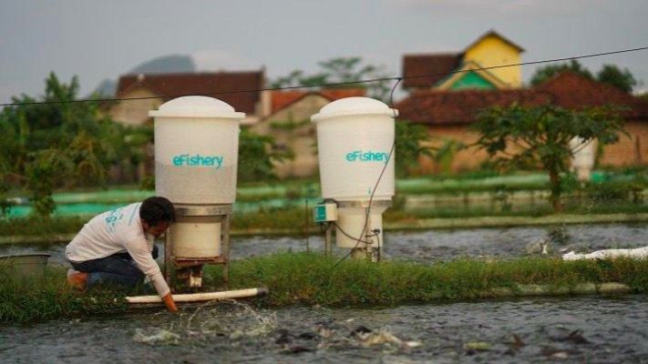 Efishery Resmi Berstatus Unicorn Usai Raih Investasi Rp1,6 T